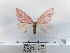  ( - ANHRTUK00072511)  @11 [ ] COPYRIGHT (2021) Unspecified ANHRT