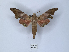  ( - ANHRTUK00073409)  @11 [ ] Copyright (2021) Unspecified ANHRT