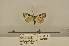 ( - ANHRTUK00074119)  @11 [ ] COPYRIGHT (2021) Unspecified ANHRT