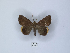  ( - ANHRTUK00074556)  @11 [ ] Copyright (2021) Unspecified ANHRT