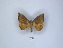  ( - ANHRTUK00077805)  @11 [ ] Copyright (2021) Unspecified ANHRT