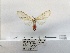  ( - ANHRTUK00077837)  @11 [ ] COPYRIGHT (2021) Unspecified ANHRT