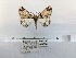  ( - ANHRTUK00078004)  @11 [ ] COPYRIGHT (2021) Unspecified ANHRT