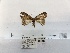  ( - ANHRTUK00078008)  @11 [ ] COPYRIGHT (2021) Unspecified ANHRT