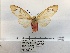  ( - ANHRTUK00079094)  @11 [ ] COPYRIGHT (2021) Unspecified ANHRT