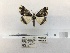  ( - ANHRTUK00080826)  @11 [ ] COPYRIGHT (2021) Unspecified ANHRT