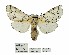  ( - ANHRTUK00081593)  @11 [ ] Copyright (2021) Unspecified ANHRT