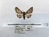  ( - ANHRTUK00082138)  @11 [ ] COPYRIGHT (2021) Unspecified ANHRT