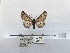  ( - ANHRTUK00083741)  @11 [ ] COPYRIGHT (2021) Unspecified ANHRT