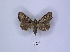  ( - ANHRTUK00084015)  @11 [ ] Copyright (2021) Unspecified ANHRT