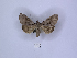  ( - ANHRTUK00084018)  @11 [ ] Copyright (2021) Unspecified ANHRT