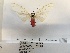  ( - ANHRTUK00084285)  @11 [ ] COPYRIGHT (2021) Unspecified ANHRT