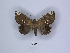  ( - ANHRTUK00084401)  @11 [ ] Copyright (2021) Unspecified ANHRT