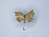  ( - ANHRTUK00085184)  @11 [ ] Copyright (2021) Unspecified ANHRT
