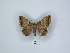  ( - ANHRTUK00085456)  @11 [ ] Copyright (2021) Unspecified ANHRT