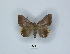  ( - ANHRTUK00085620)  @11 [ ] Copyright (2021) Unspecified ANHRT