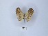  (Hollandia - ANHRTUK00086502)  @11 [ ] Copyright (2021) Unspecified ANHRT