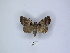  ( - ANHRTUK00086553)  @11 [ ] Copyright (2021) Unspecified ANHRT