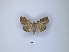  ( - ANHRTUK00086586)  @11 [ ] Copyright (2021) Unspecified ANHRT