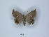  ( - ANHRTUK00087288)  @11 [ ] Copyright (2021) Unspecified ANHRT