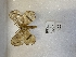  ( - ANHRTUK00087622-2)  @11 [ ] copyright (2021) Unspecified ANHRT