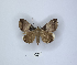  ( - ANHRTUK00088669)  @11 [ ] Copyright (2021) Unspecified ANHRT
