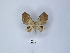  ( - ANHRTUK00089039)  @11 [ ] Copyright (2021) Unspecified ANHRT
