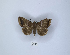  ( - ANHRTUK00089973)  @11 [ ] Copyright (2021) Unspecified ANHRT
