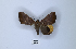  ( - ANHRTUK00091460)  @11 [ ] Copyright (2021) Unspecified ANHRT