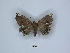  ( - ANHRTUK00091465)  @11 [ ] Copyright (2021) Unspecified ANHRT