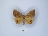  ( - ANHRTUK00091539)  @11 [ ] Copyright (2021) Unspecified ANHRT