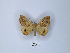  ( - ANHRTUK00093329)  @11 [ ] Copyright (2021) Unspecified ANHRT