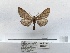  ( - ANHRTUK00094572)  @11 [ ] COPYRIGHT (2021) Unspecified ANHRT