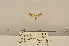  ( - ANHRTUK00094784)  @11 [ ] COPYRIGHT (2021) Unspecified ANHRT