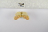  ( - ANHRTUK-00094972)  @11 [ ] Copyright (2021) Unspecified ANHRT