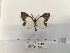  ( - ANHRTUK00095113)  @11 [ ] COPYRIGHT (2021) Unspecified ANHRT