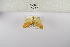  ( - ANHRTUK-00095389)  @11 [ ] Copyright (2021) Unspecified ANHRT