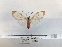  ( - ANHRTUK00095585)  @11 [ ] COPYRIGHT (2021) Unspecified ANHRT
