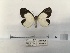  ( - ANHRTUK00095618)  @11 [ ] COPYRIGHT (2021) Unspecified ANHRT