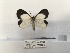 ( - ANHRTUK00095619)  @11 [ ] COPYRIGHT (2021) Unspecified ANHRT