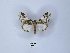 ( - ANHRTUK00099048)  @11 [ ] Copyright (2021) Unspecified ANHRT