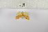  ( - ANHRTUK-00099174)  @11 [ ] Copyright (2021) Unspecified ANHRT