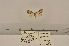  ( - ANHRTUK00100906)  @11 [ ] COPYRIGHT (2021) Unspecified ANHRT