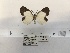  ( - ANHRTUK00101475)  @11 [ ] COPYRIGHT (2021) Unspecified ANHRT