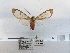  ( - ANHRTUK00101683)  @11 [ ] COPYRIGHT (2021) Unspecified ANHRT