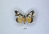  ( - ANHRTUK00103020)  @11 [ ] Copyright (2021) Unspecified ANHRT