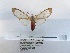  ( - ANHRTUK00103634)  @11 [ ] COPYRIGHT (2021) Unspecified ANHRT