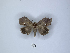  ( - ANHRTUK00103695)  @11 [ ] Copyright (2021) Unspecified ANHRT