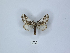  ( - ANHRTUK00105001)  @11 [ ] Copyright (2021) Unspecified ANHRT