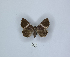  ( - ANHRTUK00106570)  @11 [ ] Copyright (2021) Unspecified ANHRT